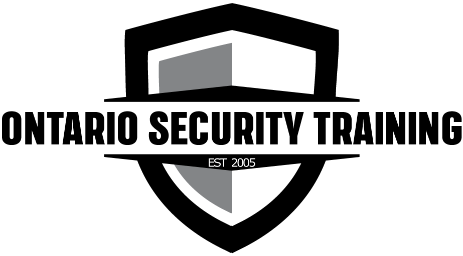 13 logo
